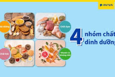 TUYÊN TRUYỀN VỀ DINH DƯỠNG HỢP LÝ CHO TRẺ MẦM NON
